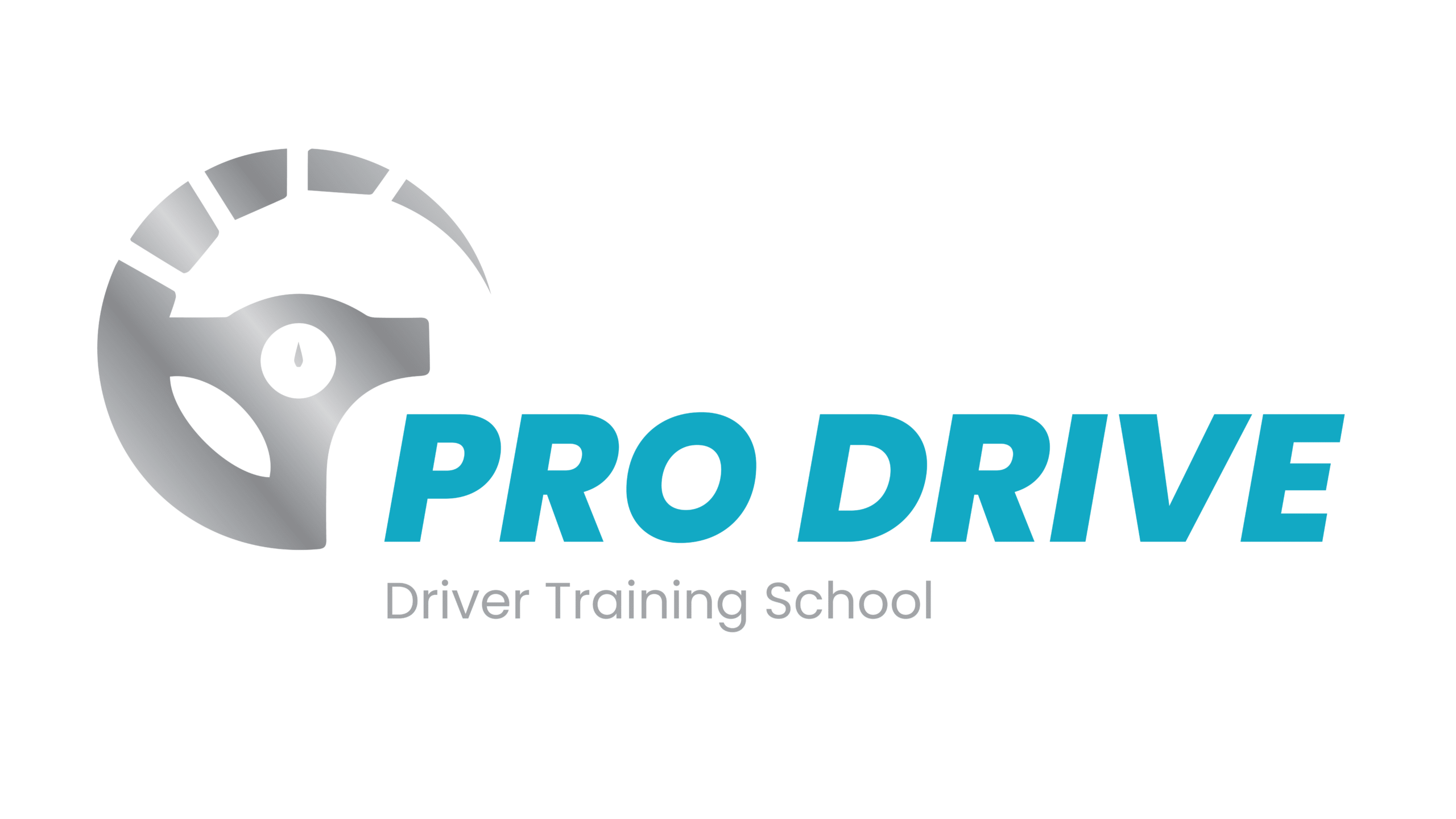 Pro Drive Logo-01 (1)